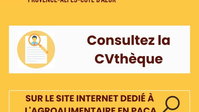 CVthèque