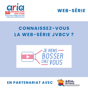web-série « Je Viens Bosser Chez Vous »