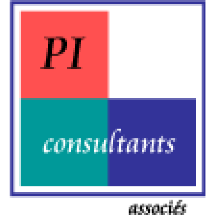 PI CONSULTANTS Associes