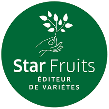 Star Fruits
